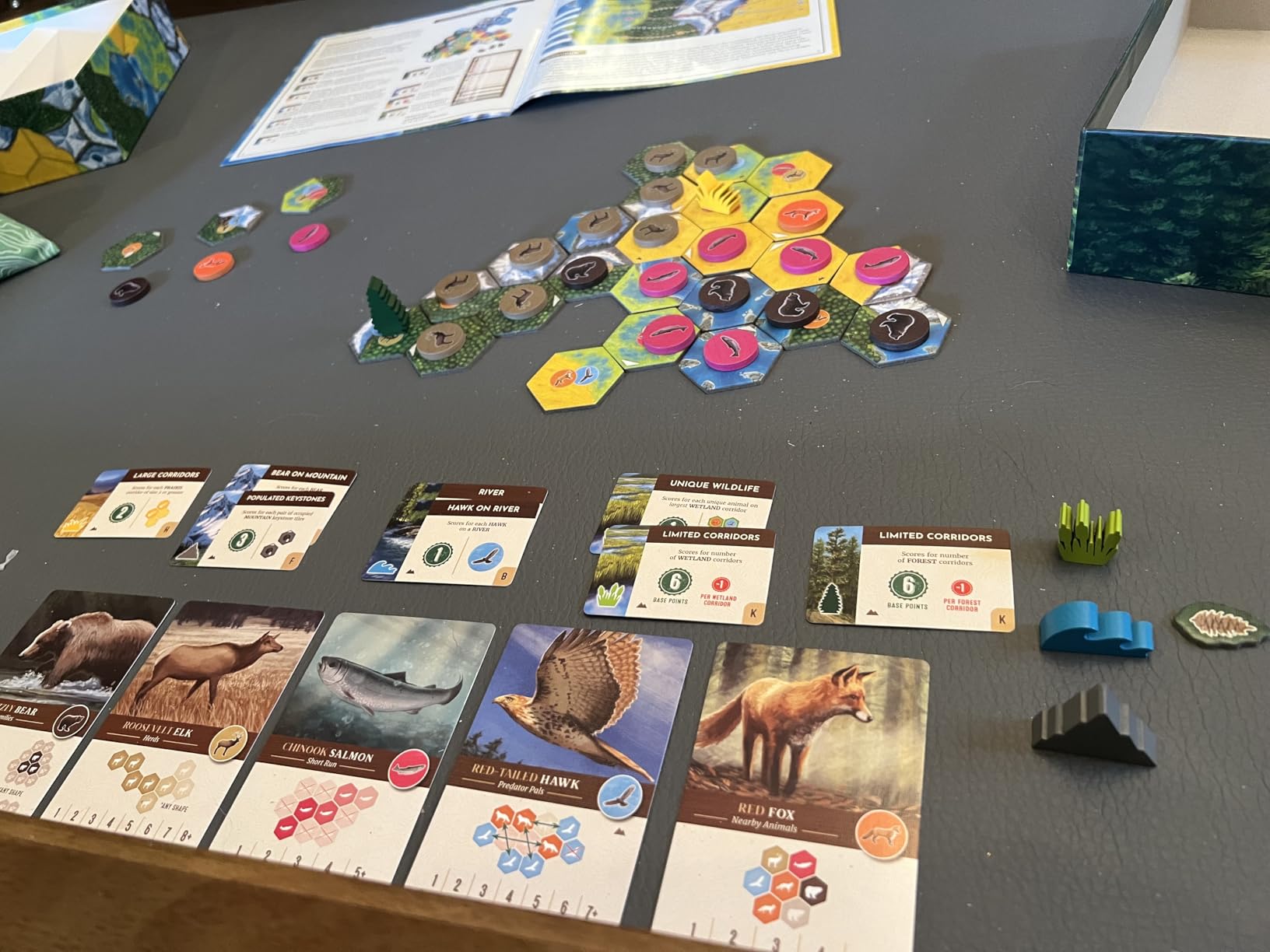 AEG & Flatout Games | Cascadia - Award-Winning Board Game Set in the Pacific Northwest | Easy to Learn | Quick to Play | Ages 10+ customer photo 1