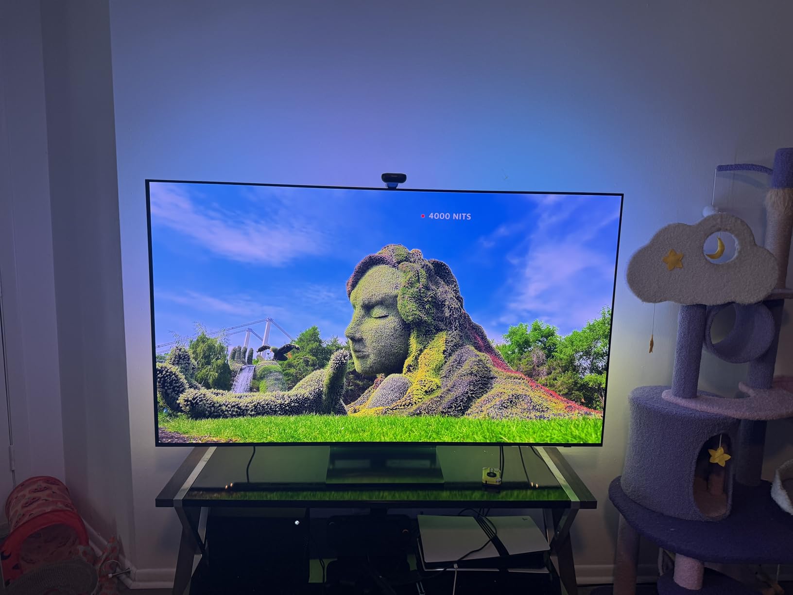 Samsung 65-Inch Class OLED 4K S90D Series HDR+ Smart TV w/Dolby Atmos, Object Tracking Sound Lite, Motion Xcelerator, Real Depth Enhancer, 4K AI Upscaling, Alexa Built-in (QN65S90D, 2024 Model) customer photo 1