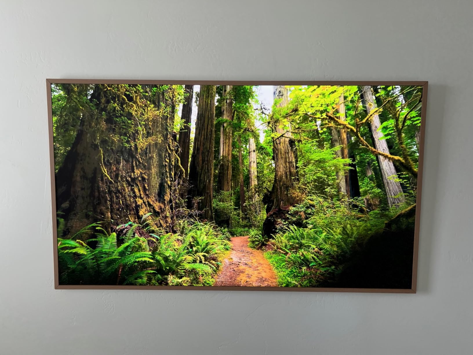 Samsung 65-Inch Class The Frame LS03F 4K QLED Smart TV (2025 Model) Slim Fit Wall Mount, Modern Frame Design, NQ4 AI Gen2 Processor, Art Mode, Artful Picture Quality, Samsung Vision AI, Alexa Built-in customer photo 2