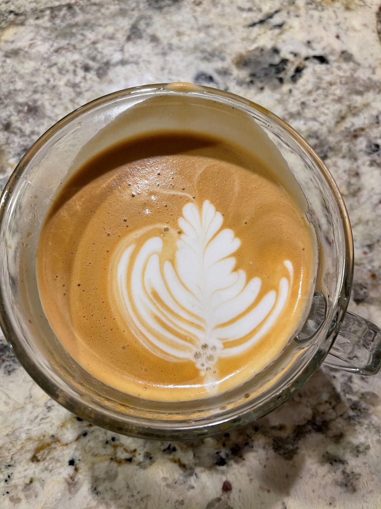 Breville Barista Pro Espresso Machine BES878BSS, Brushed Stainless Steel customer photo 1