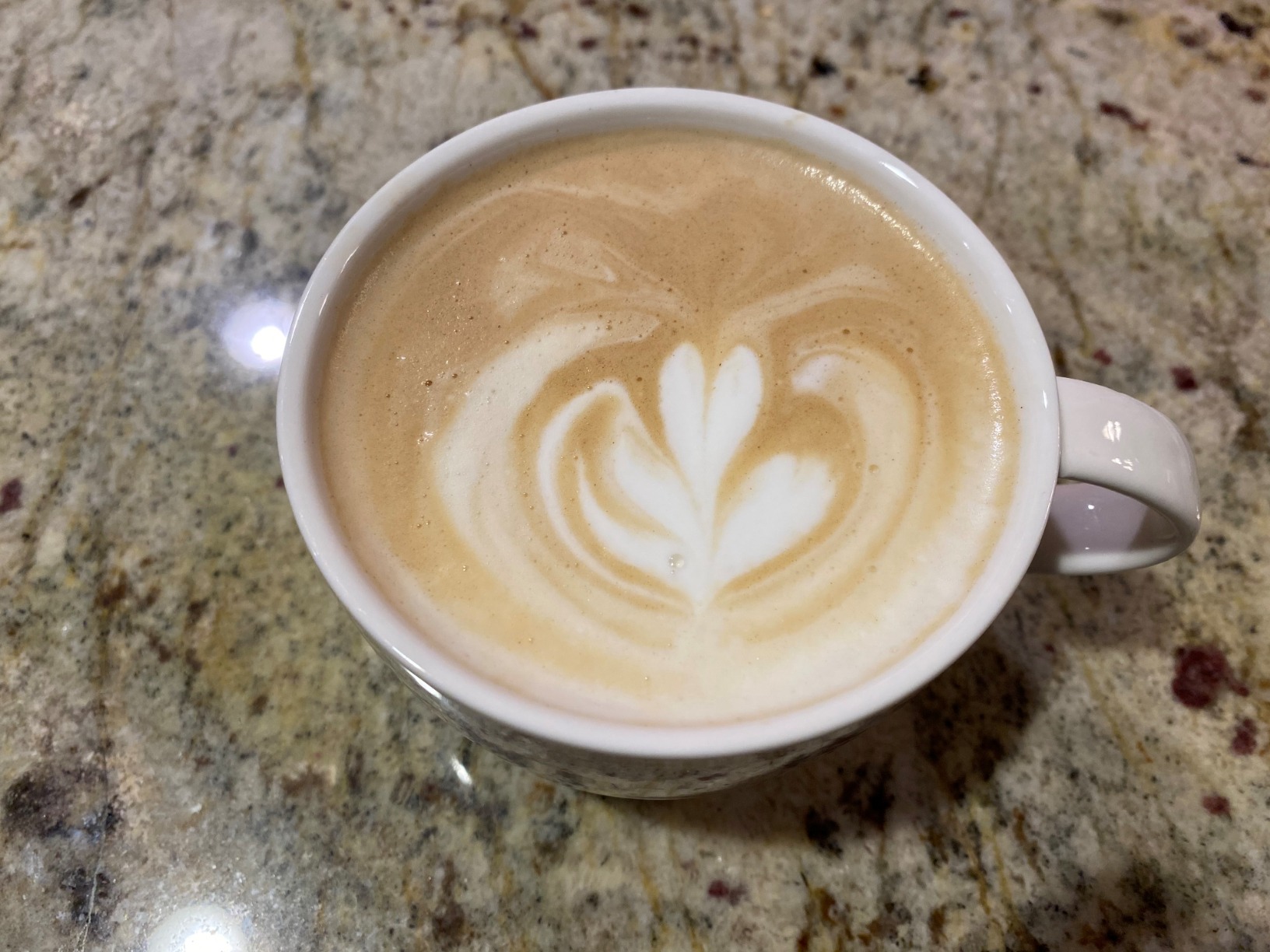 Breville Barista Pro Espresso Machine BES878BSS, Brushed Stainless Steel customer photo 2