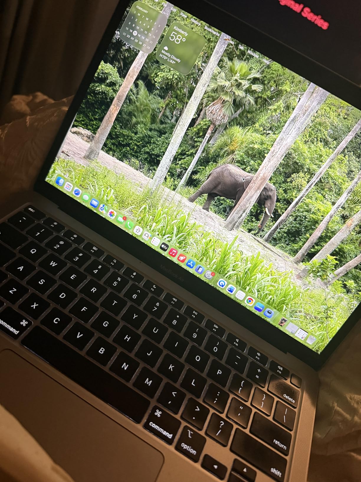 Apple MacBook Air Late 2020 with Apple M1 Chip (13.3 inch, 8GB RAM, 256GB SSD) Space Gray (Renewed) customer photo 2