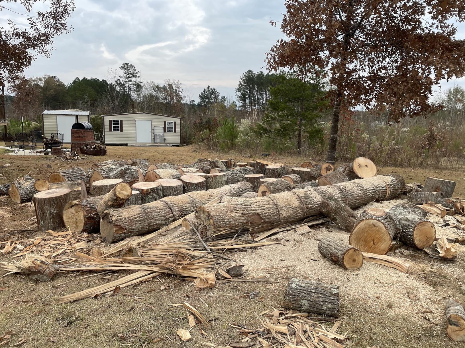 Husqvarna 450 Rancher 20 Inch Gas Chainsaw, 50.2-cc 3.2-HP, 2-Cycle X-Torq Engine, For Tree Pruning, Yard Cleanups and Firewood Cutting, 970613120 customer photo 1