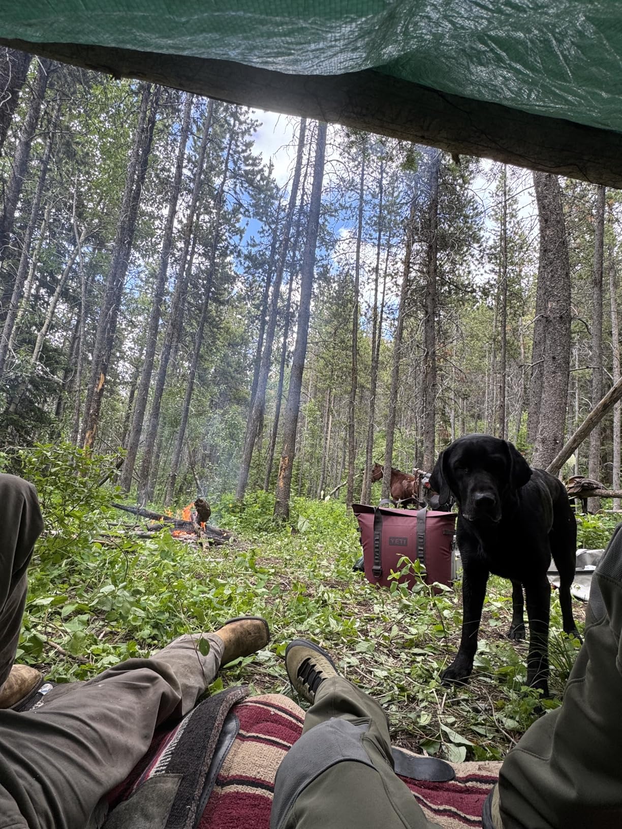 Hopper M Series Portable Soft Coolers with MagShield Access customer photo 2