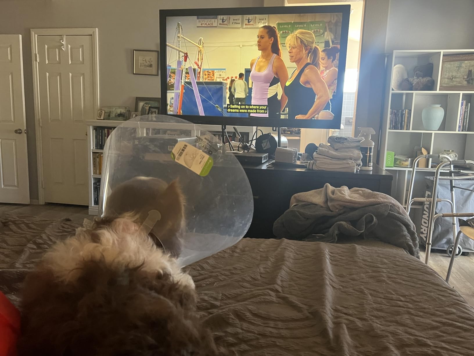 TCL 65-Inch Class S5 UHD 4K LED Smart TV with Fire TV (65S551F, 2024), Dolby Vision, HDR PRO+, Atmos, Alexa Built-in, Apple AirPlay 2, Streaming Television customer photo 1