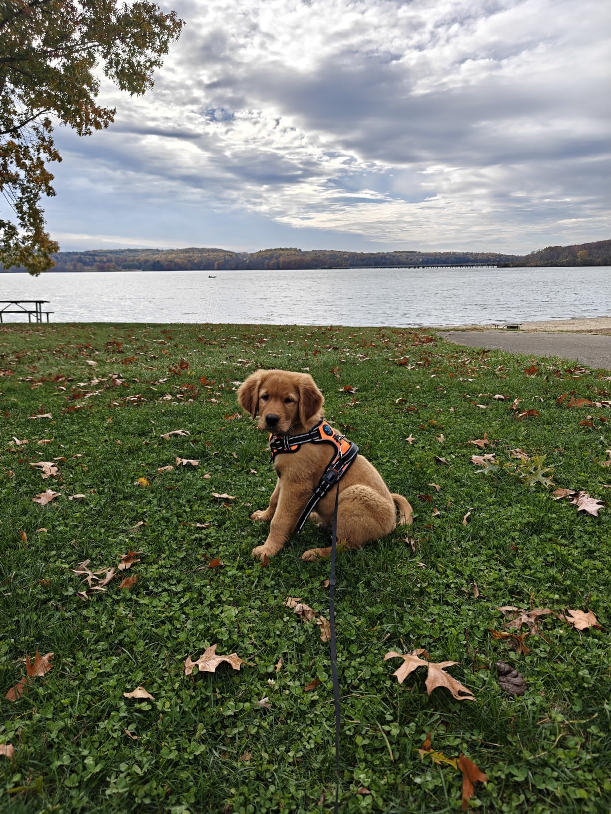 OnePlus 13,16GB RAM + 512GB Storage,Dual-SIM,Unlocked Android Smartphone, Snapdragon 8 Elite, 80W SUPERVOOC Fast Charging and 50W AIRVOOC Charging, Advanced Hasselblad Camera, 2025, Midnight Ocean customer photo 1