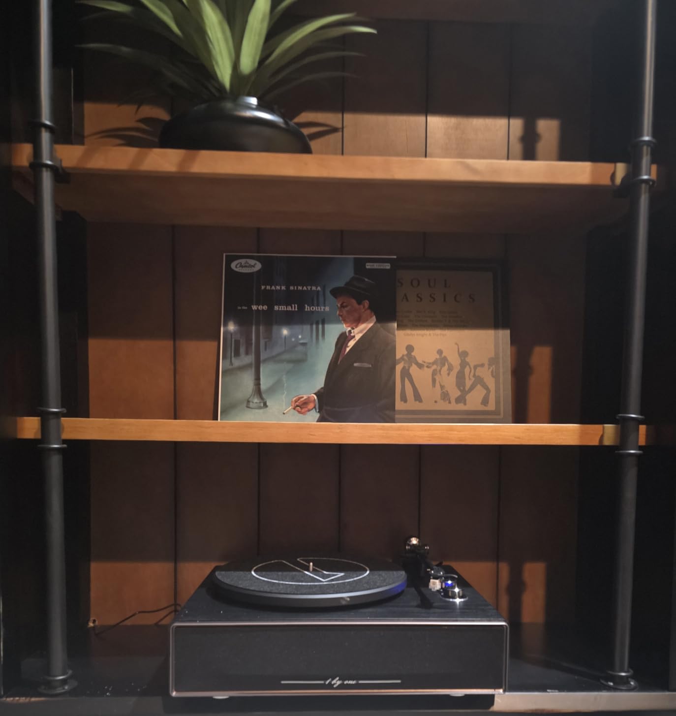 1 by ONE High Fidelity Record Player, All-in-One Turntable with Built in Speakers Phono Preamp, Magnetic AT-3600L Cartridge, RCA Output, Belt Drive 2-Speed, Piano Lacquer Grey customer photo 2