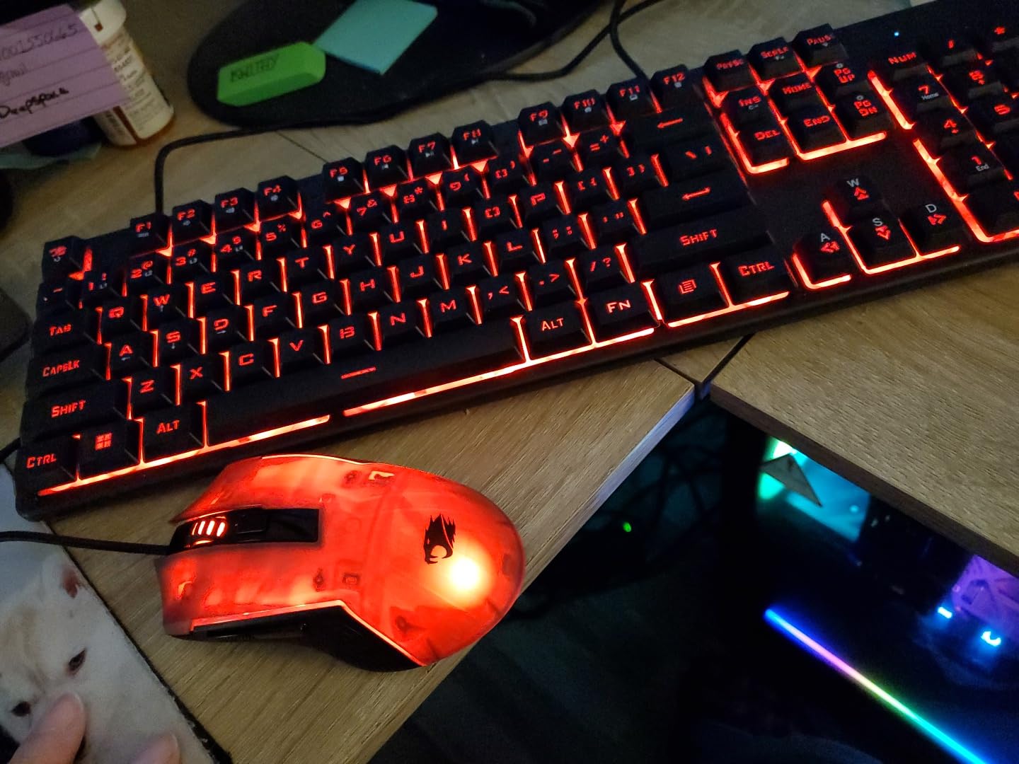 iBUYPOWER Slate MESH Gaming PC Desktop Computer Intel Core i7 14700F CPU, NVIDIA GeForce RTX 5070 12GB GPU, 32GB DDR5 RGB 5200MHz RAM, 1TB NVMe SSD, Windows 11 Home, Keyboard and Mouse - SMI7N5701 customer photo 2