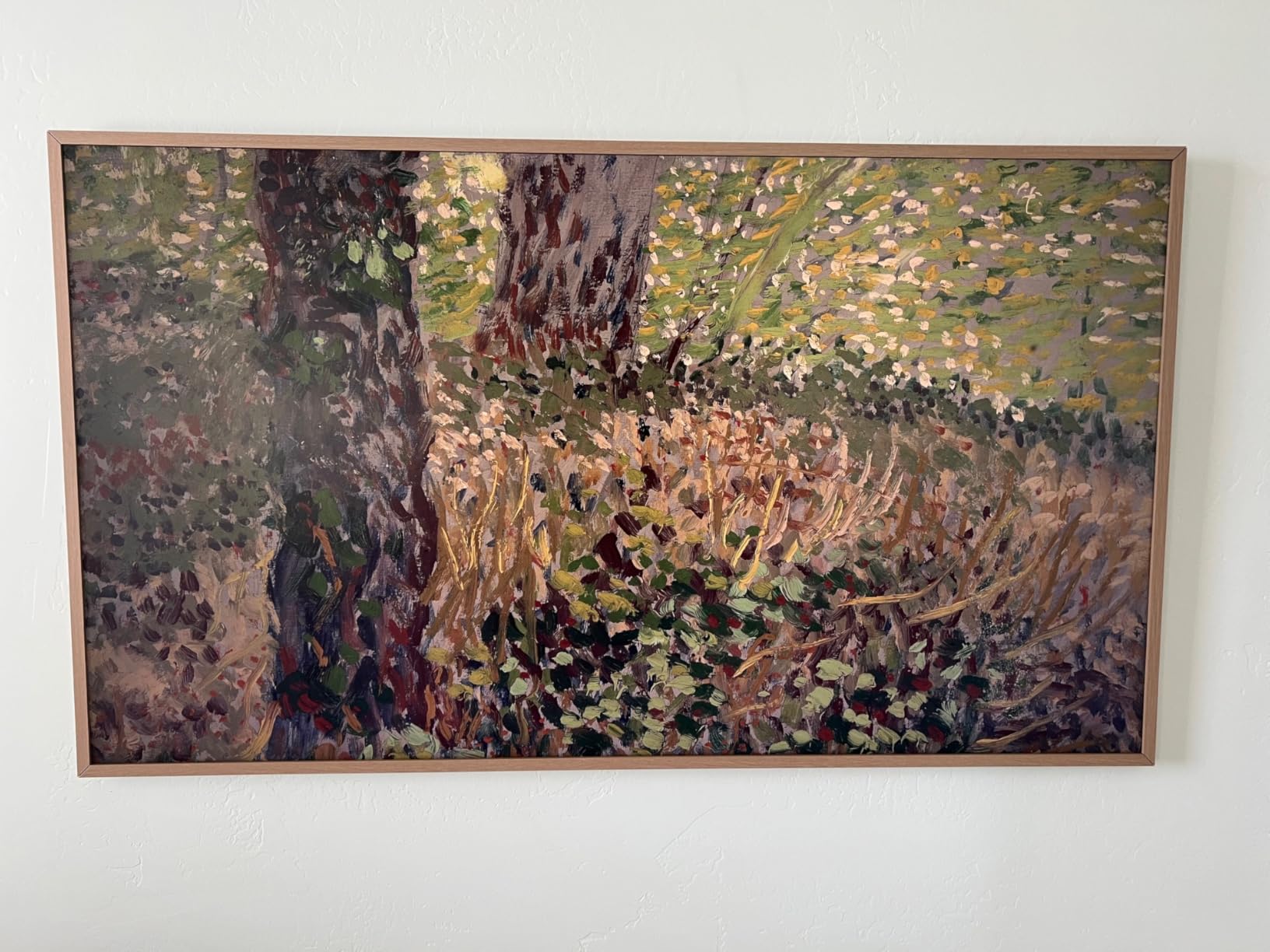 Samsung 50-Inch Class The Frame LS03F 4K QLED Smart TV (2025 Model) - Slim Fit Wall Mount, Modern Frame Design, NQ4 AI Gen2 Processor, Art Mode, Artful Picture Quality, Samsung Vision AI, Alexa Built-in customer photo 2