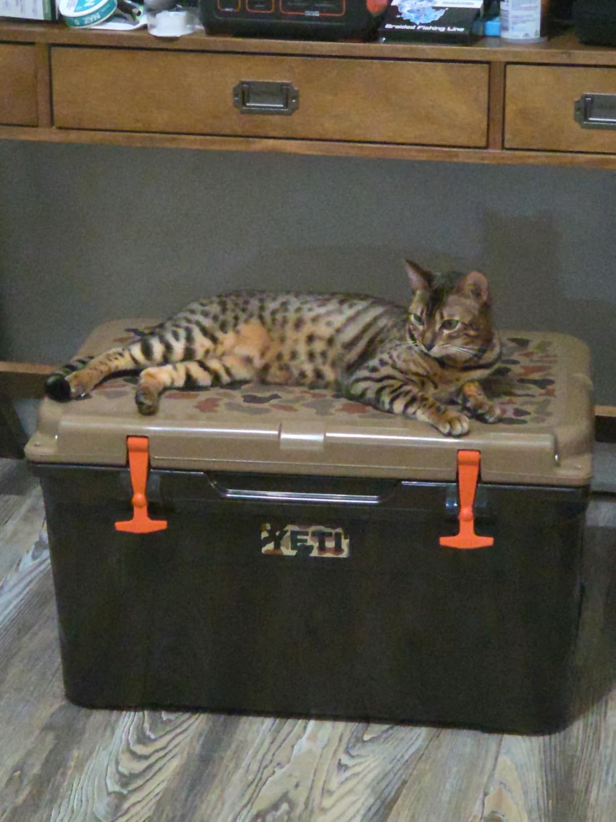 Tundra 45 Hard Cooler customer photo 1