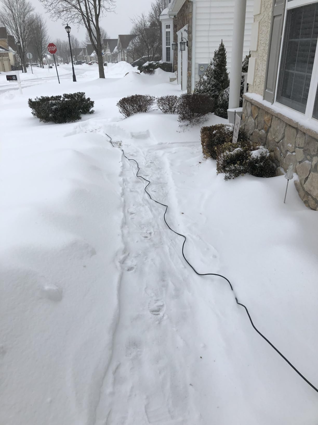 EWORK Corded Snow Shovel 11-Inch 1200W 10A Powerful Electric Snow Shovels, 6-Inch Clearing Depth, 23-Foot Max Throw Distance, Power Snow Blower for Driveway, Steps, Sidewalk, Porch customer photo 2