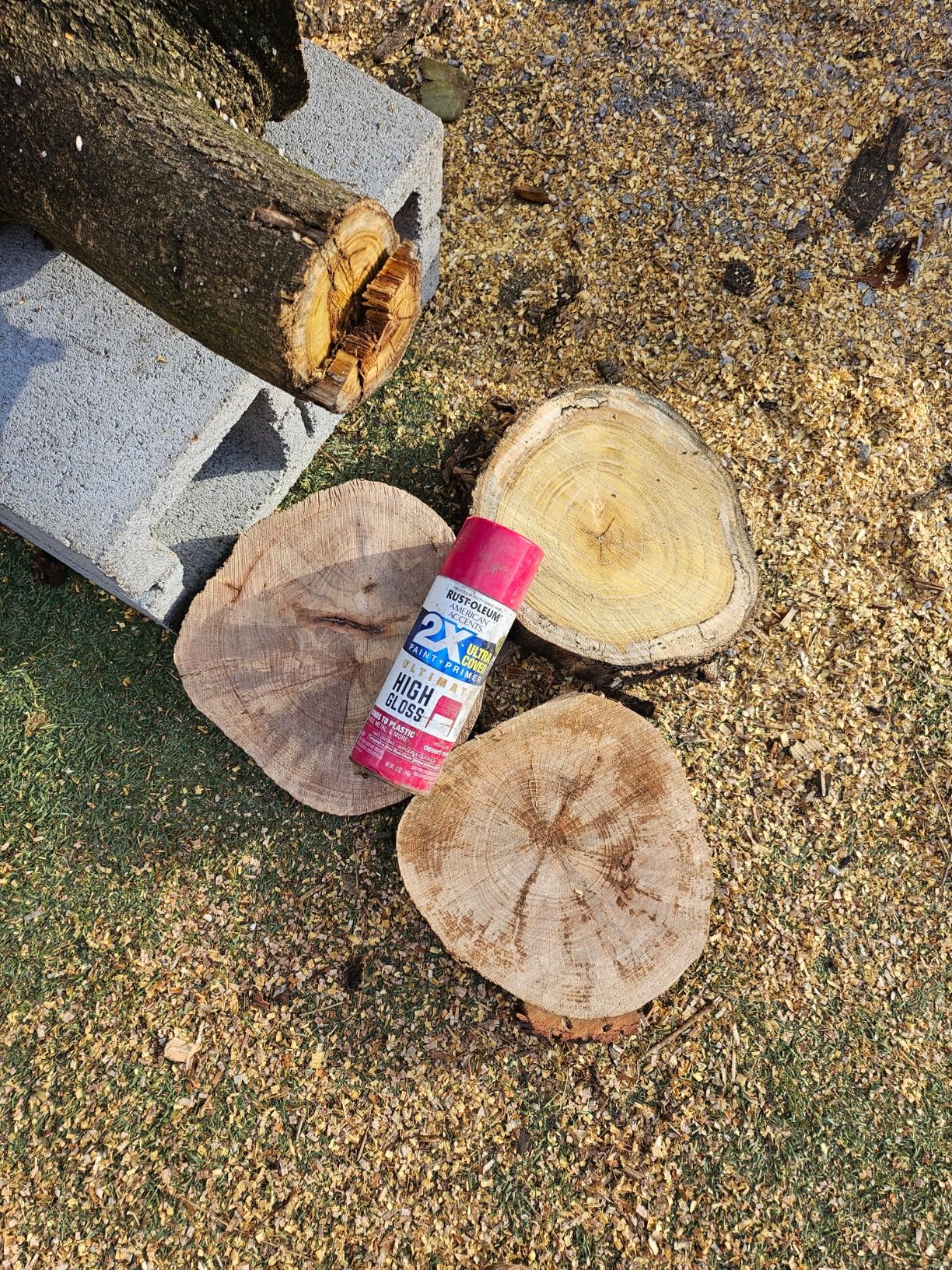 WEN Electric Chainsaw, Corded, 15-Amp, 18-Inch (CP1518) customer photo 1