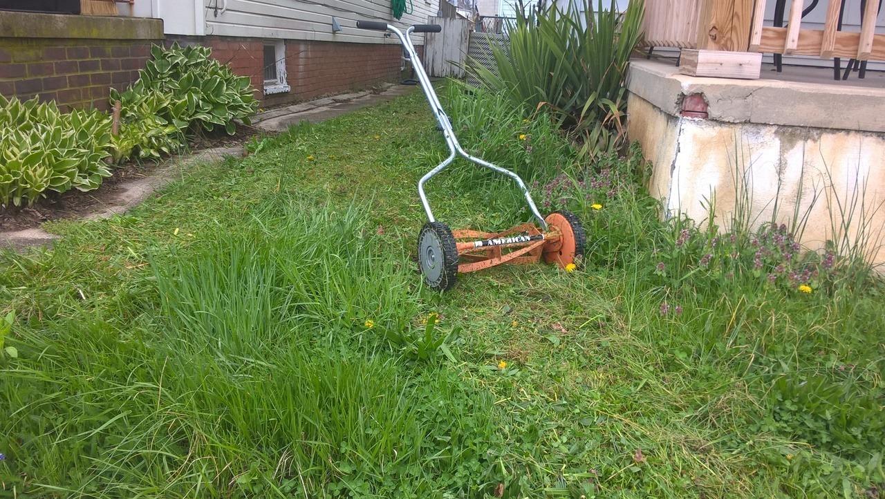 American Lawn Mower 1204-14 14-Inch 4-Blade Push Reel Lawn Mower, Red customer photo 1