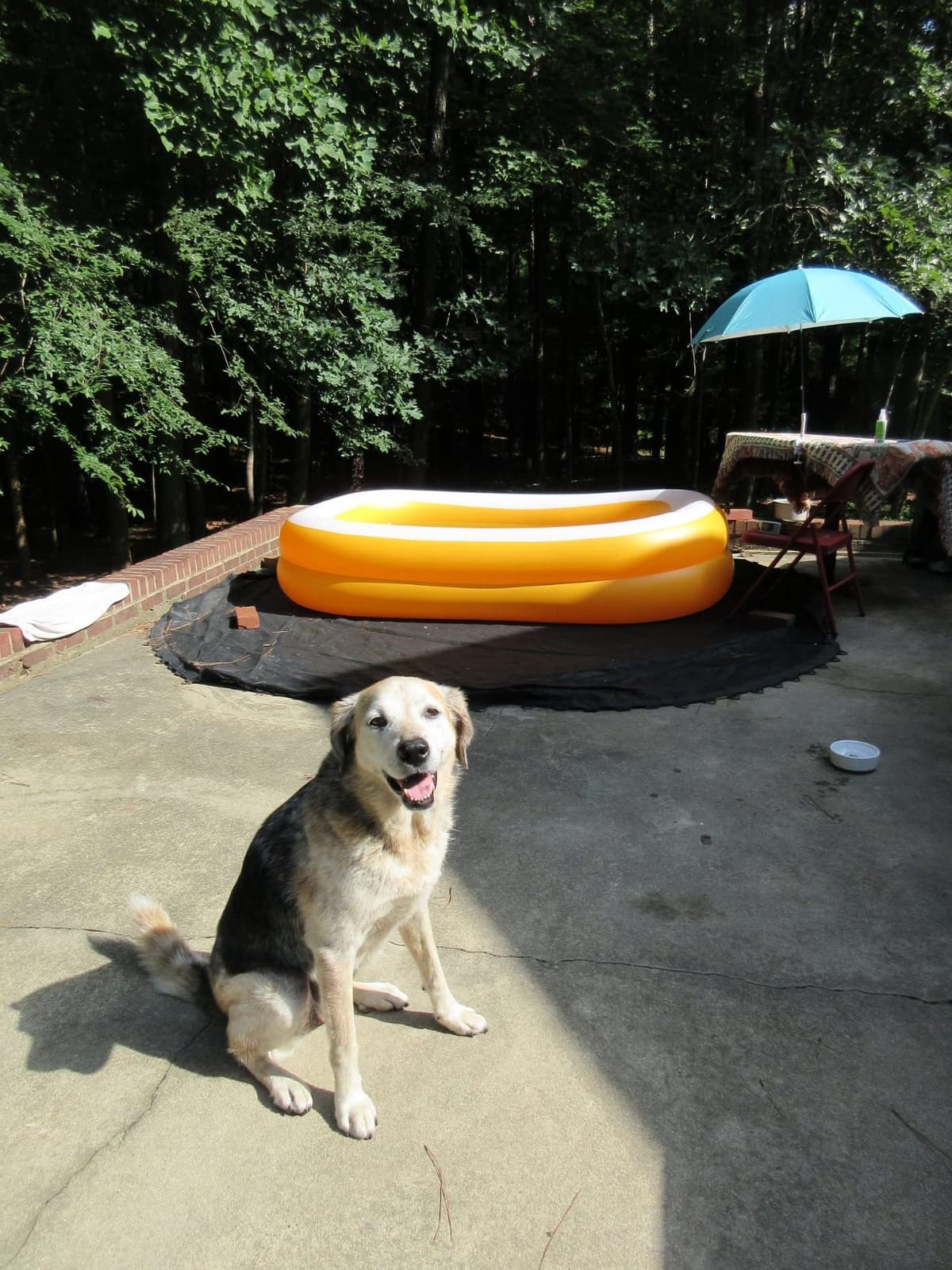 INTEX Rectangular Family Lounge Inflatable Swimming Pool for Kids & Adults | 58484EP - Outdoor Backyard Swim Center for Family Fun, 120in x 72in x 22in customer photo 1