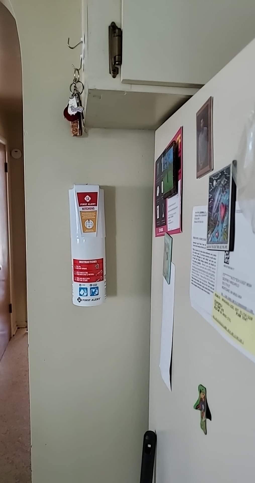 First Alert Fire Extinguisher, Standard Kitchen Use | KITCHEN5 UL RATED 5-B:C, White 1-Pack customer photo 2