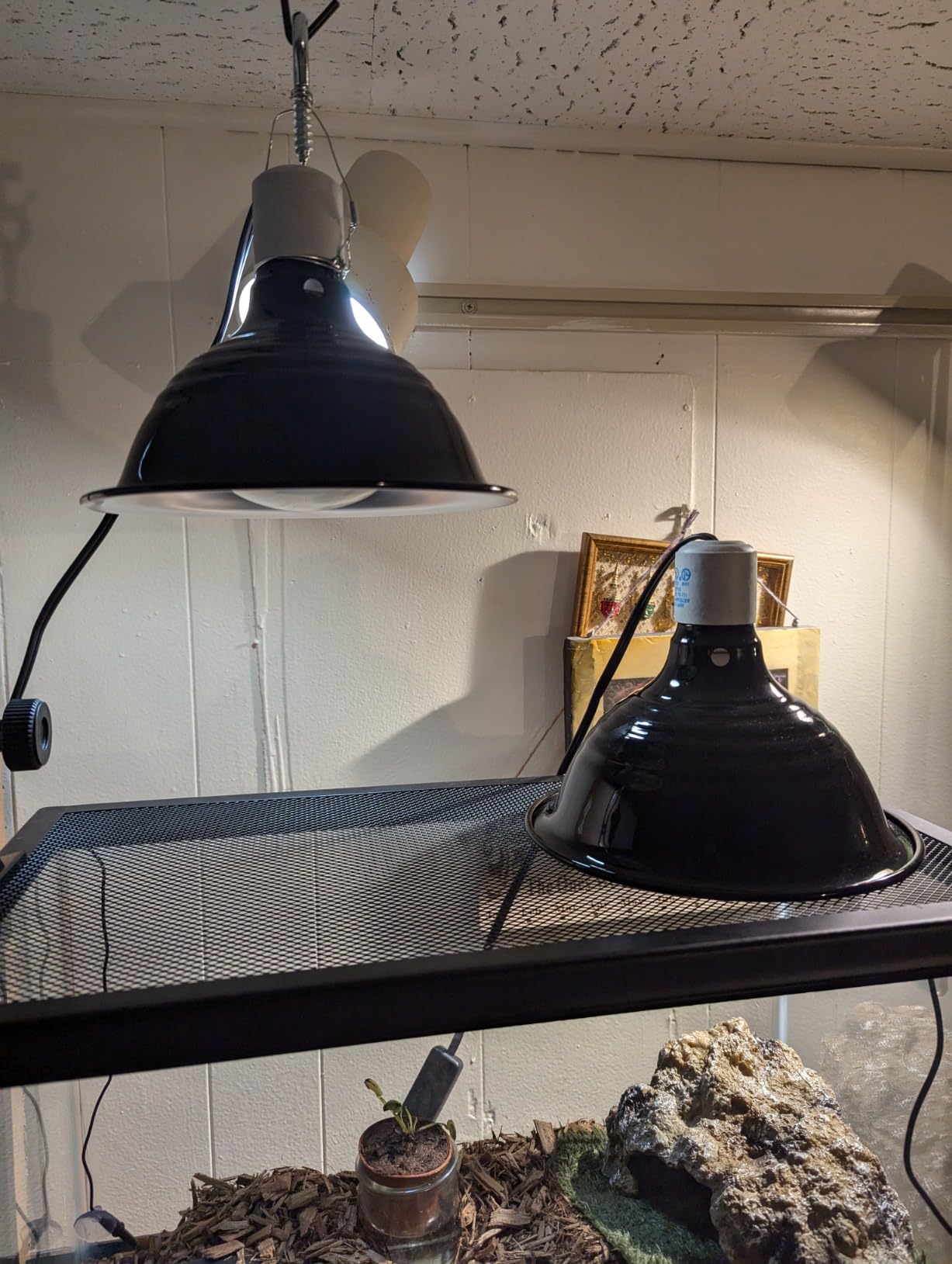 Fluker's Repta-Clamp Lamp, Heavy Duty Clamp Light For Reptile Tanks and Terrariums, UL/CUL Approved, Great for Reptile Basking, 150-Watt Maximum with On/Off Switch, 8.5