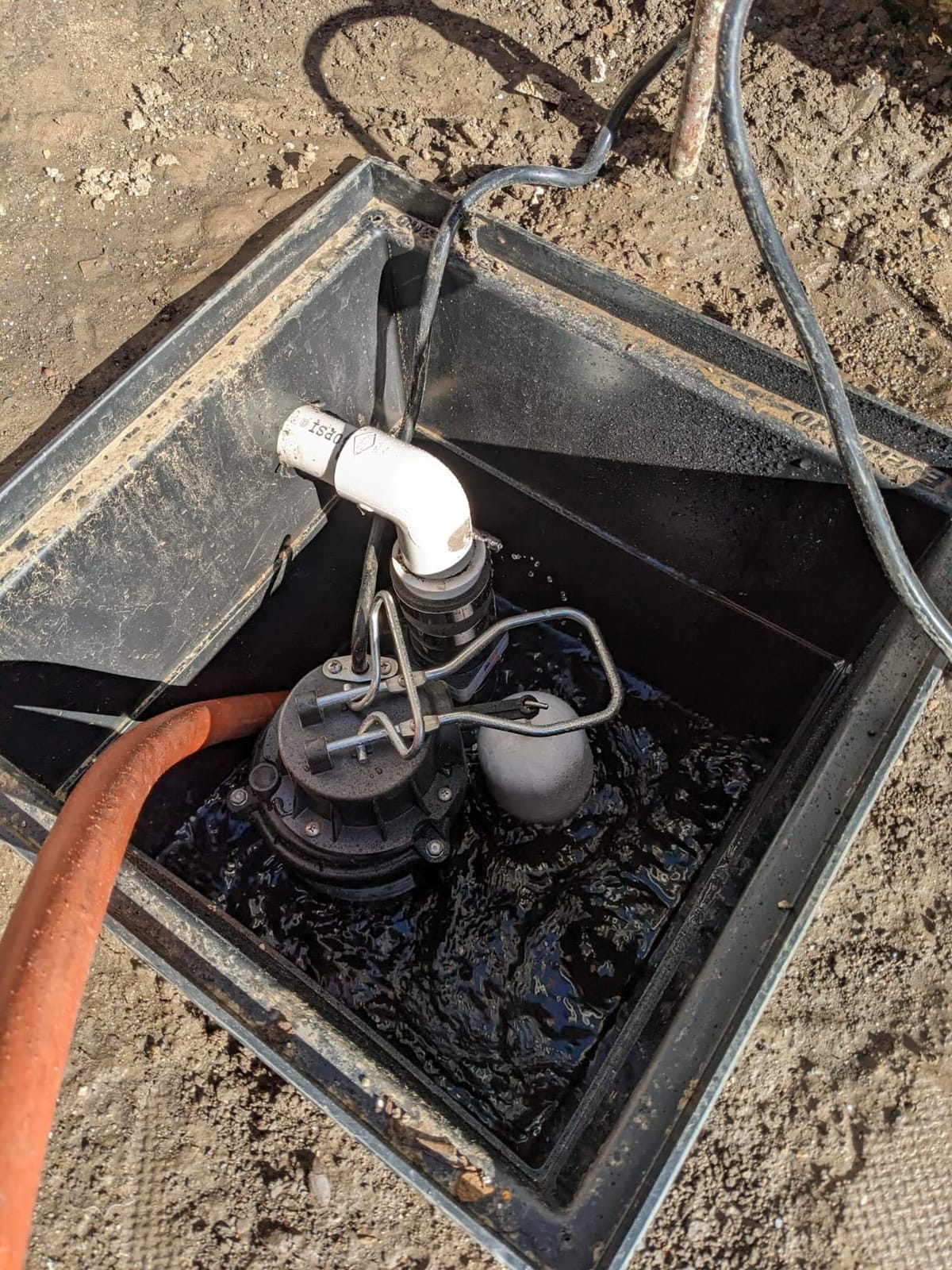 WAYNE CDU800 1/2 HP Submersible Sump Pump - Cast Iron & Stainless Steel, Vertical Float Switch, 5,100 GPH, 3-Year Warranty customer photo 1