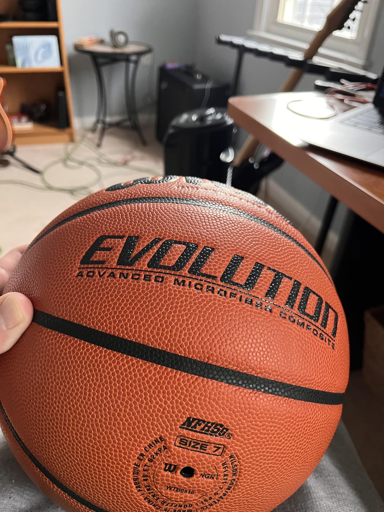 Wilson Evolution Basketballs customer photo 1