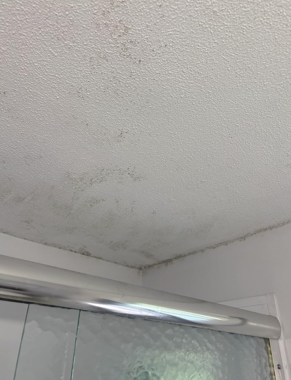 Zinsser 02774 PERMA-WHITE Mold & Mildew Proof Interior Paint, Quart, Eggshell White customer photo 1