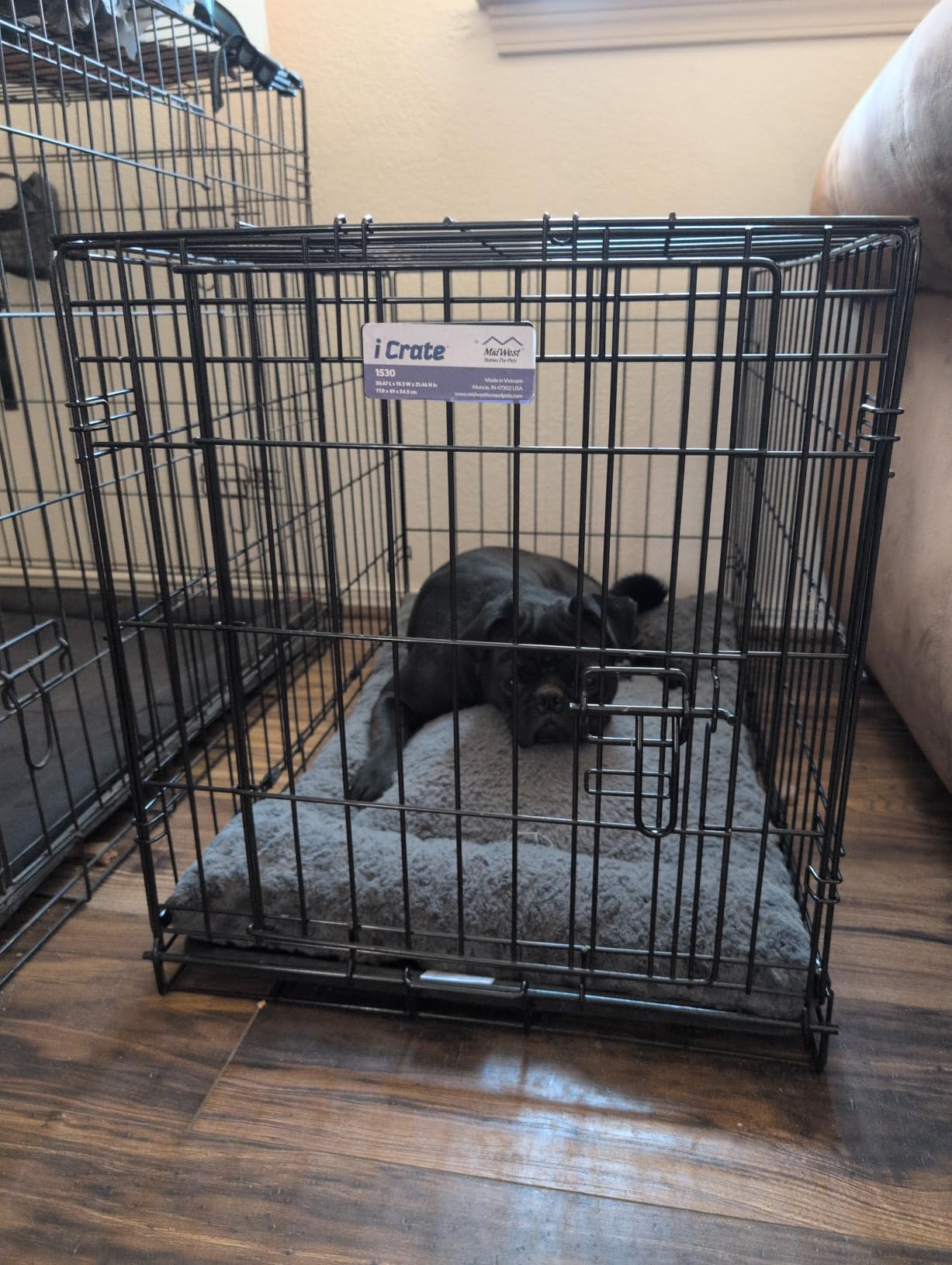 Midwest 48-Inch Single Door iCrate, for Extra-Large Breeds, 90-110 lbs customer photo 1