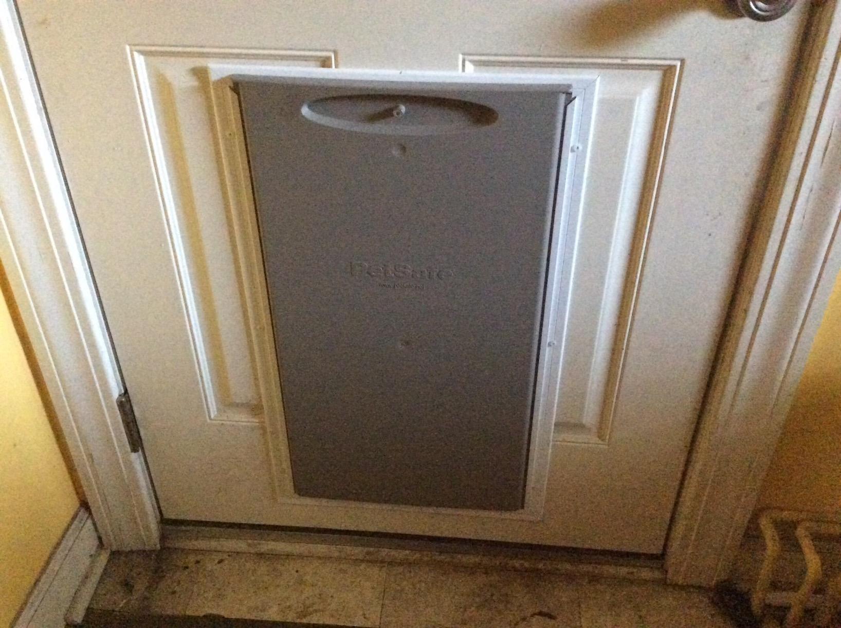 PetSafe Freedom Aluminum Pet Door, Vinyl Flap, Up to 220 lb, X-Large, White | Solid Aluminum Frame with Reinforced Corners, Slide-in Closing Panel, Fits Interior/Exterior Doors 3/8 in-2 in Thick customer photo 1