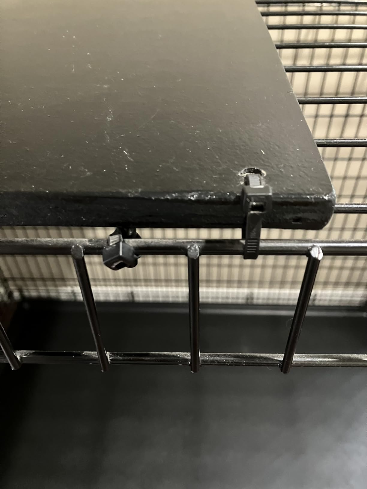 Midwest 36-Inch Double Door iCrate, for Medium-Large Breeds, 41-70 lbs | Folding Dog Crate with Divider Panel, Leak-Proof Tray & Secure Latches, Portable, Durable & Easy to Assemble customer photo 1