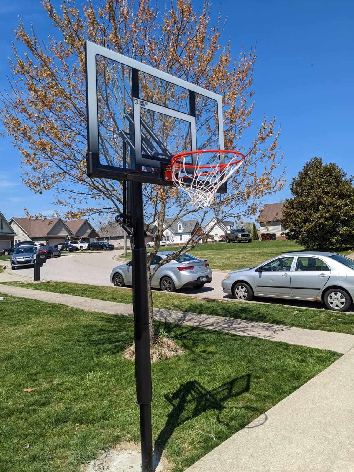 Lifetime 71281 In Ground Power Lift Basketball System, 52 Inch Shatterproof Backboard customer photo 2