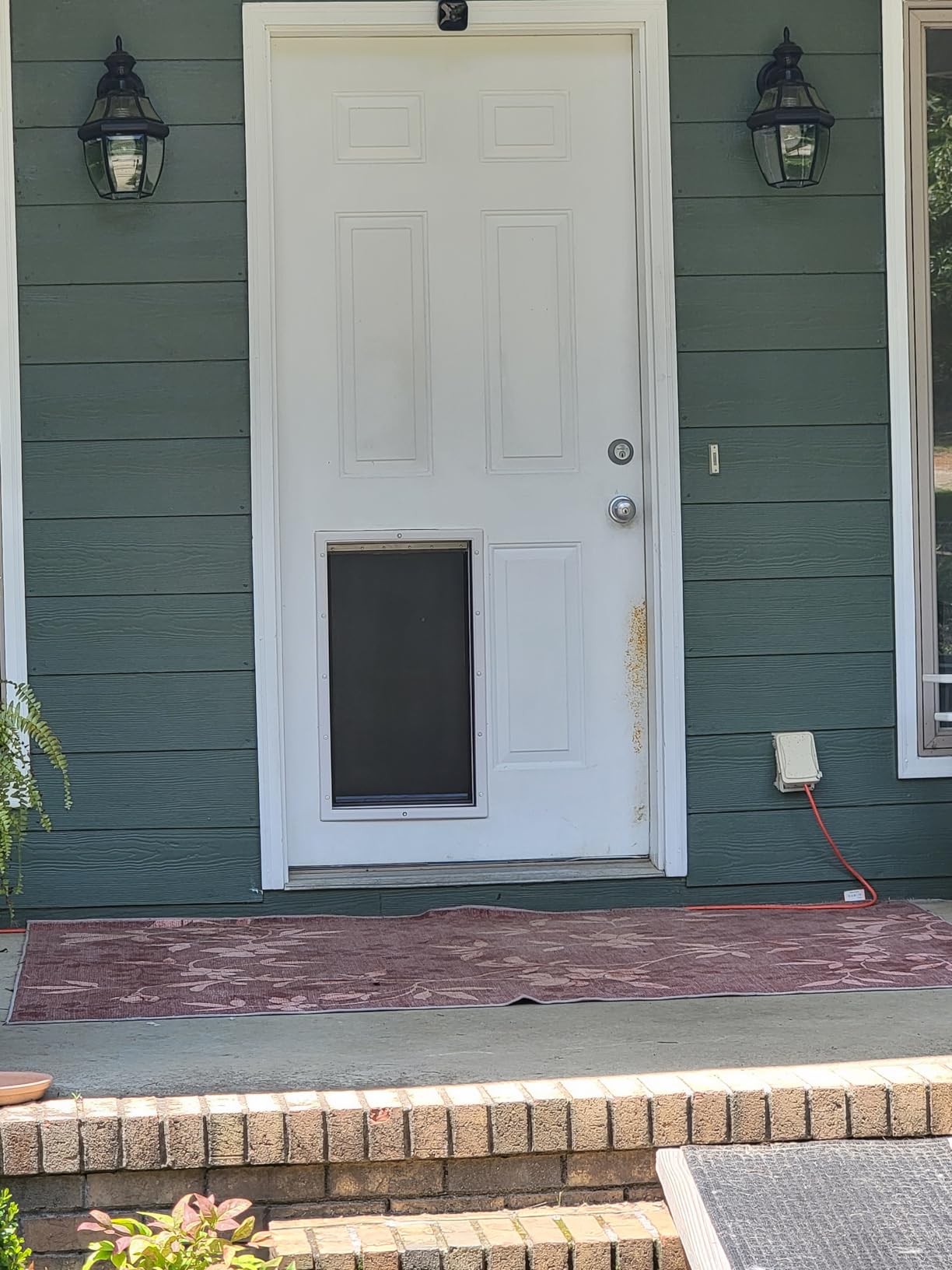 PetSafe Plastic Dog & Cat Door, Pets Up to 220 lb, X-Large | Flap Opening 13 5/8 in W x 23 5/8 in H, Snap-on Closing Panel, Paintable Frame, Easy DIY Install customer photo 2