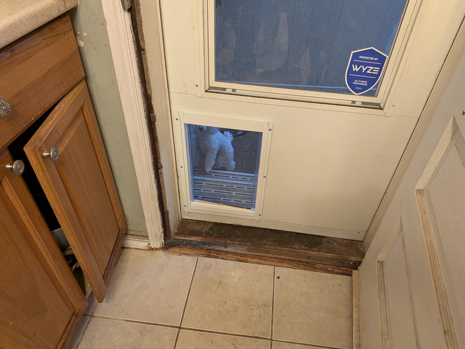 Ideal Pet Products Deluxe Aluminum Pet Door | Telescoping Frame, Super Large, 15