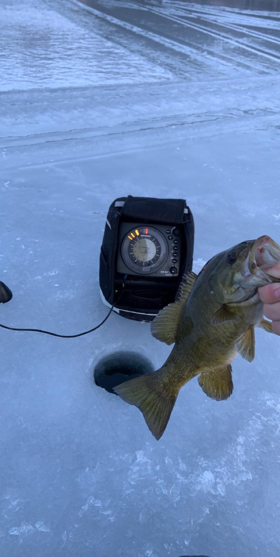 Humminbird ICE 55 Flasher Ice Fishing Fish Finder with 6-Color Fiber Optic Display customer photo 1
