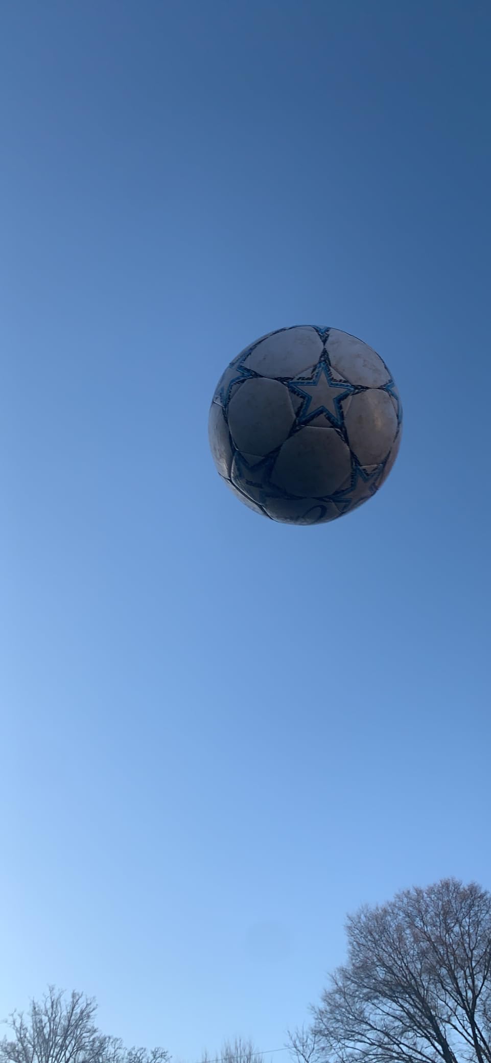 Champion Sports Viper Soccer Ball - TPU Soft-Touch Training Ball in Sizes 3,4,5 for Indoor/Outdoor Play customer photo 2