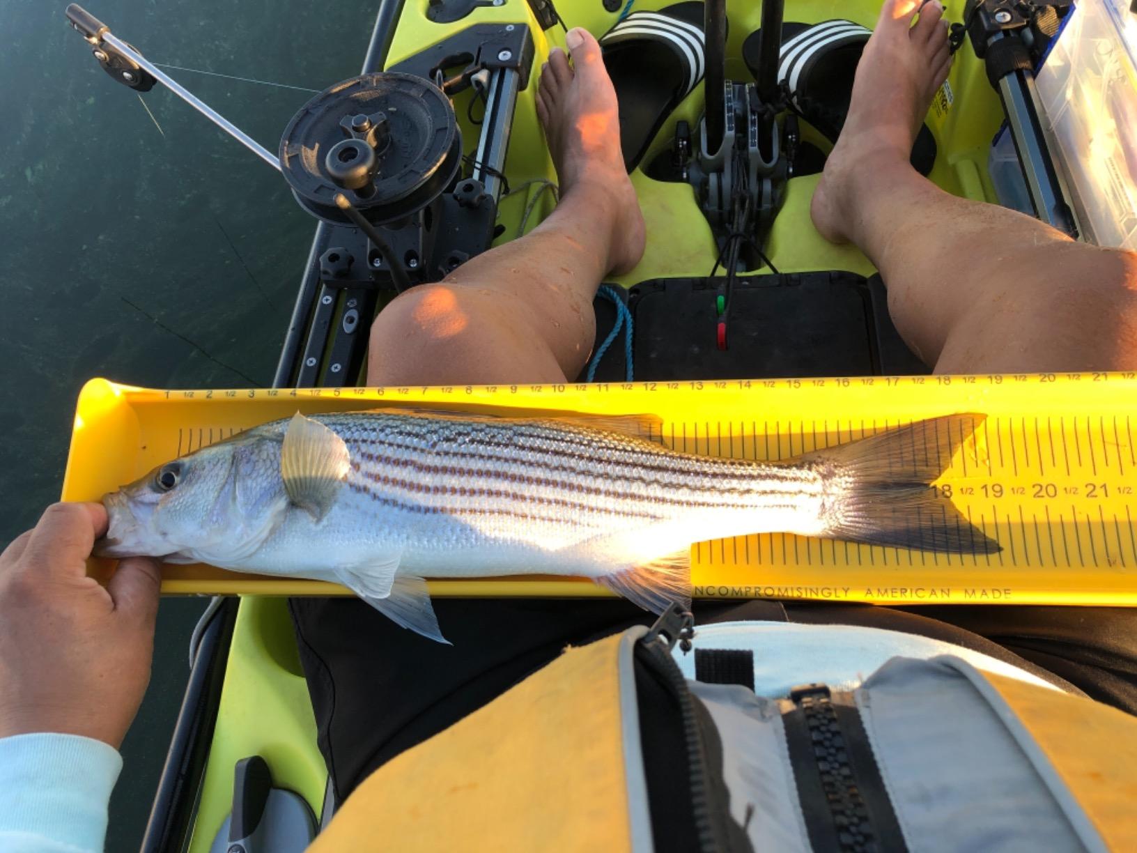 Scotty #1073DP Laketroller Manual Downrigger, Post Mount, Small customer photo 2
