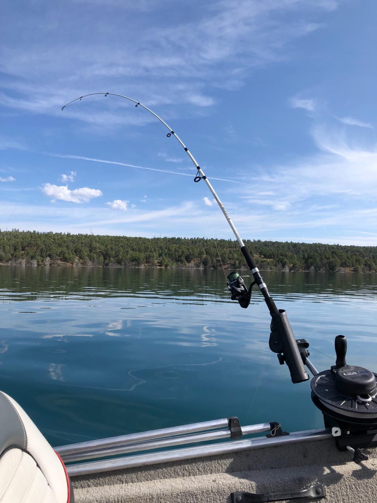 Scotty #1060 Depthking Manual Downrigger w/ Rod Holder customer photo 2