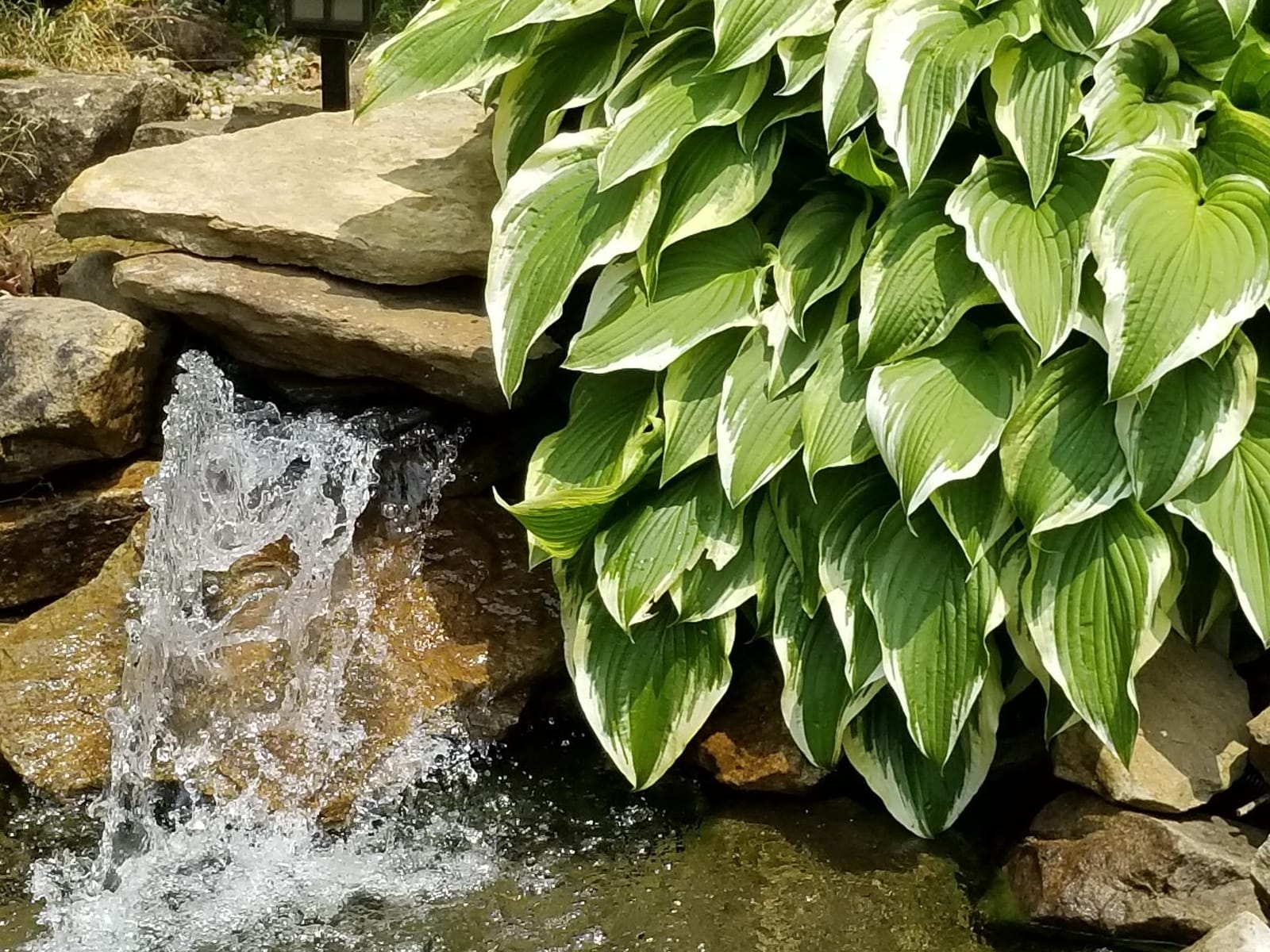 Tetra Pond Debris-Handling Pump For Filters & Waterfalls, 3690 GPH | Continuous-Operation Pond Pump Can Pass Debris Up To 1/4