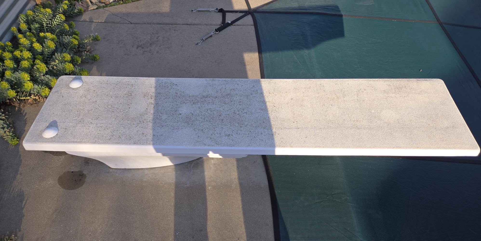 S.R. Smith 66209270S21 10 ft. Fibre Dive Board customer photo 2