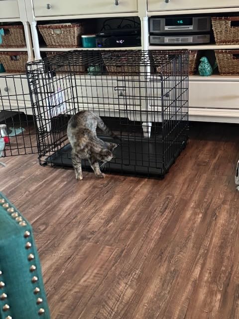 MidWest Homes for Pets Ultima Pro Heavy-Duty 42-Inch Dog Crate, Ultra-Strong Steel Double Door Pet Cage for Large Breeds, Accessories Included customer photo 2