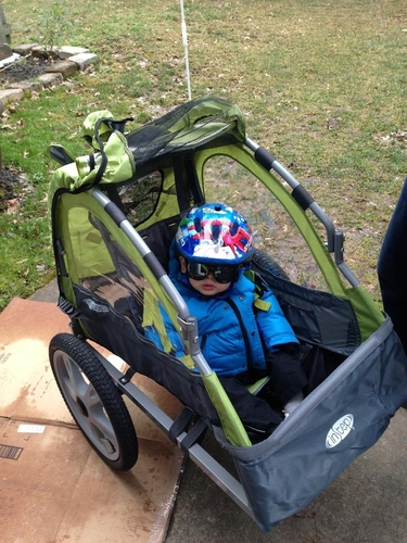 Instep Sync Single Seat Bike Child Trailer, Max Weight 40 lbs., 5-Point Harness, Folding Frame, Quick Release Wheels, Easy Storage, Bug Screen & Weather Shield, Green/Grey customer photo 2