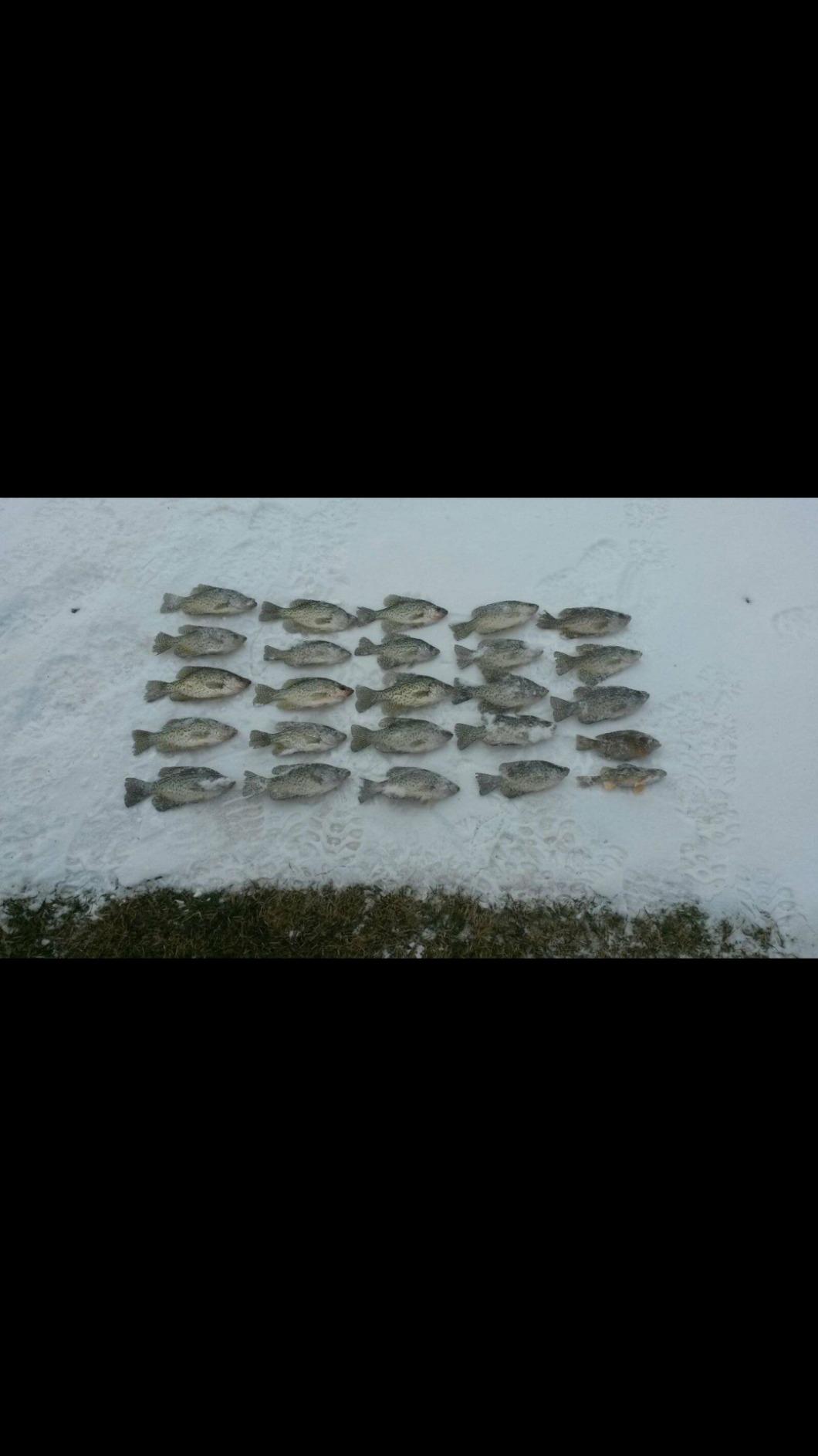 Vexilar FL-8se Genz Pack with 19 Degree Ice Flasher - GP0819 customer photo 1