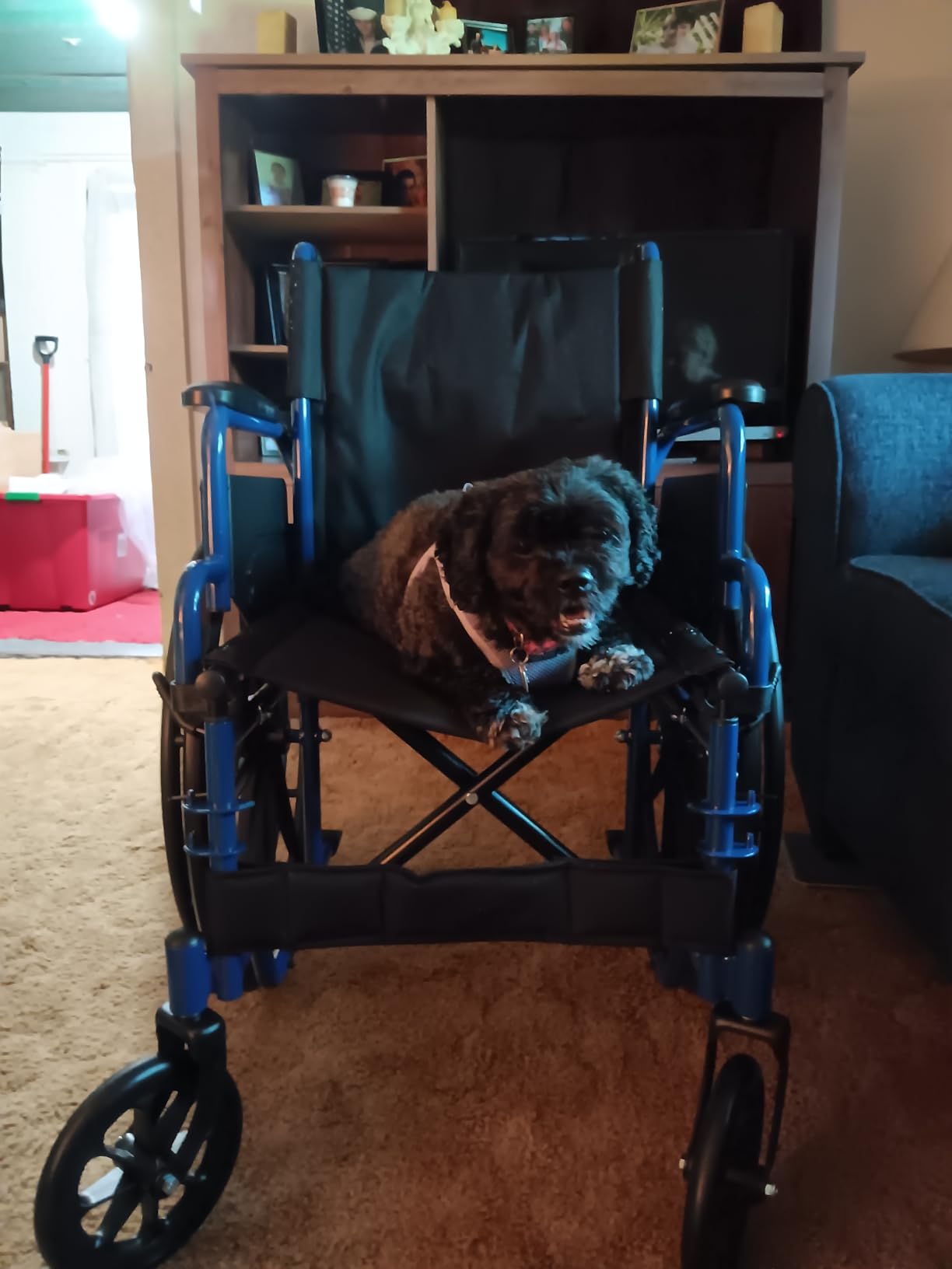 Drive Medical Blue Streak Lightweight Wheelchair with Footrests, 18-Inch Seat, Desk Arms, Swing-Away Footrests, Folding Steel Frame customer photo 1