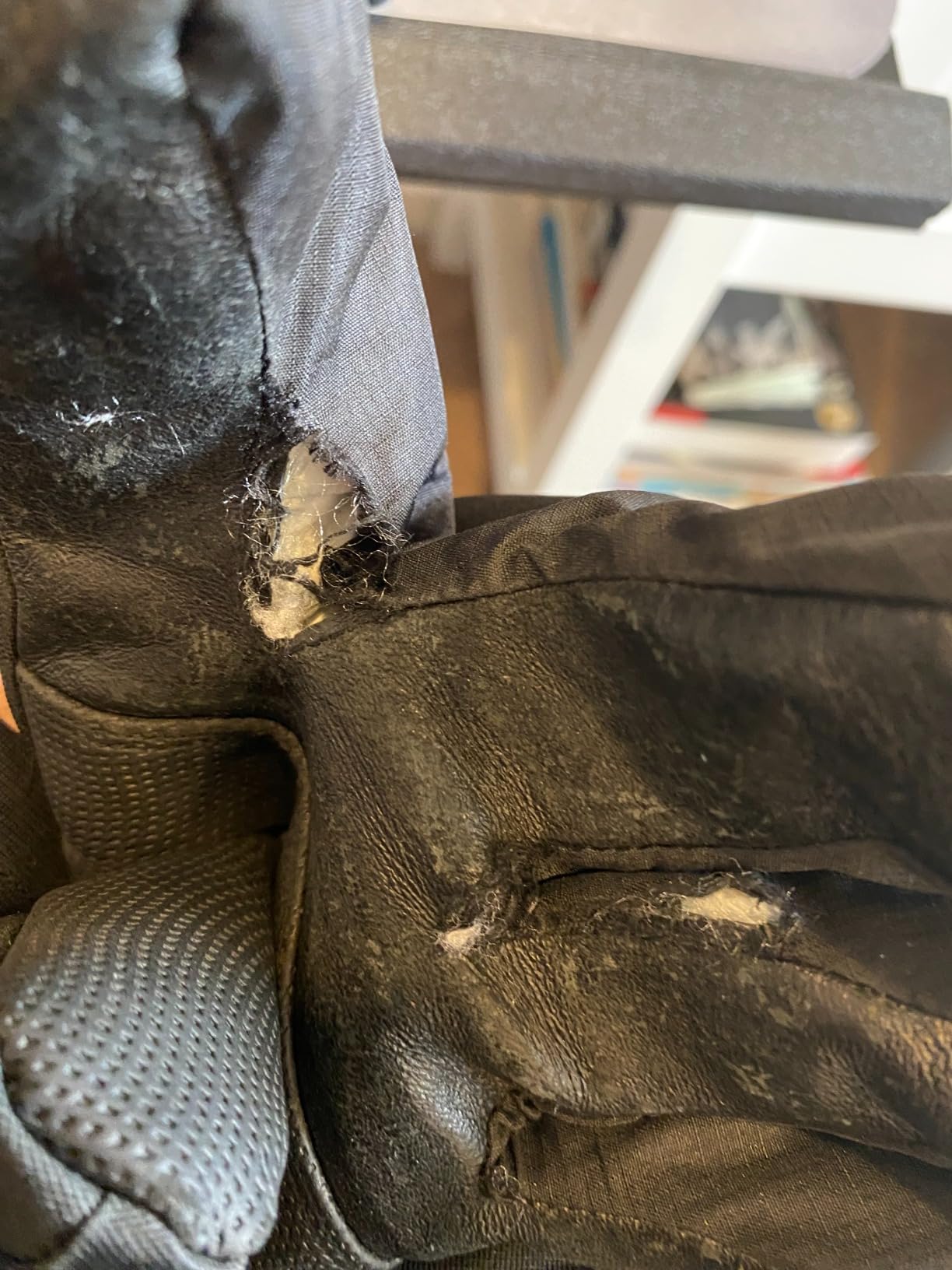 Gordini Men's Gore Gauntlet Glove customer photo 2