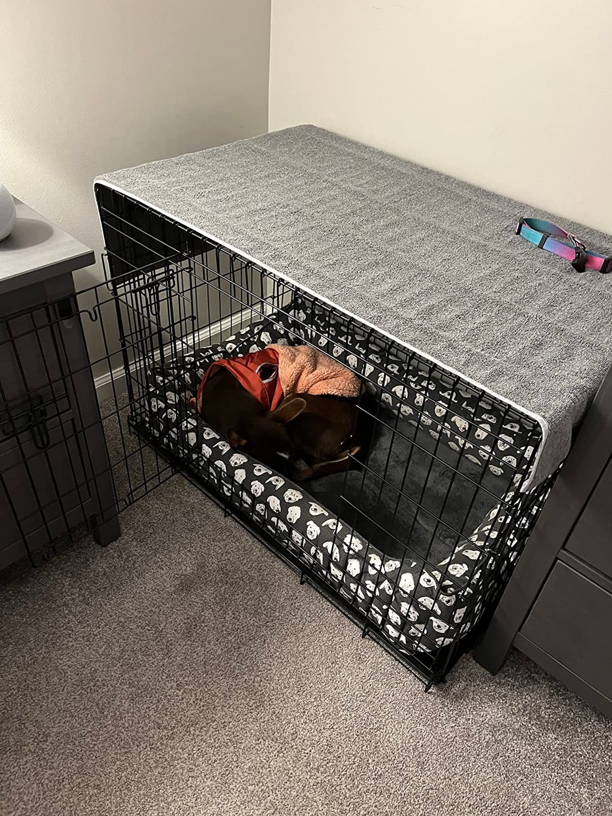 Precision Pet Products Two Door Wire Dog Crate, 24in, for Pets 15-30lbs | Provalue Design with 5-Point Locking System customer photo 1