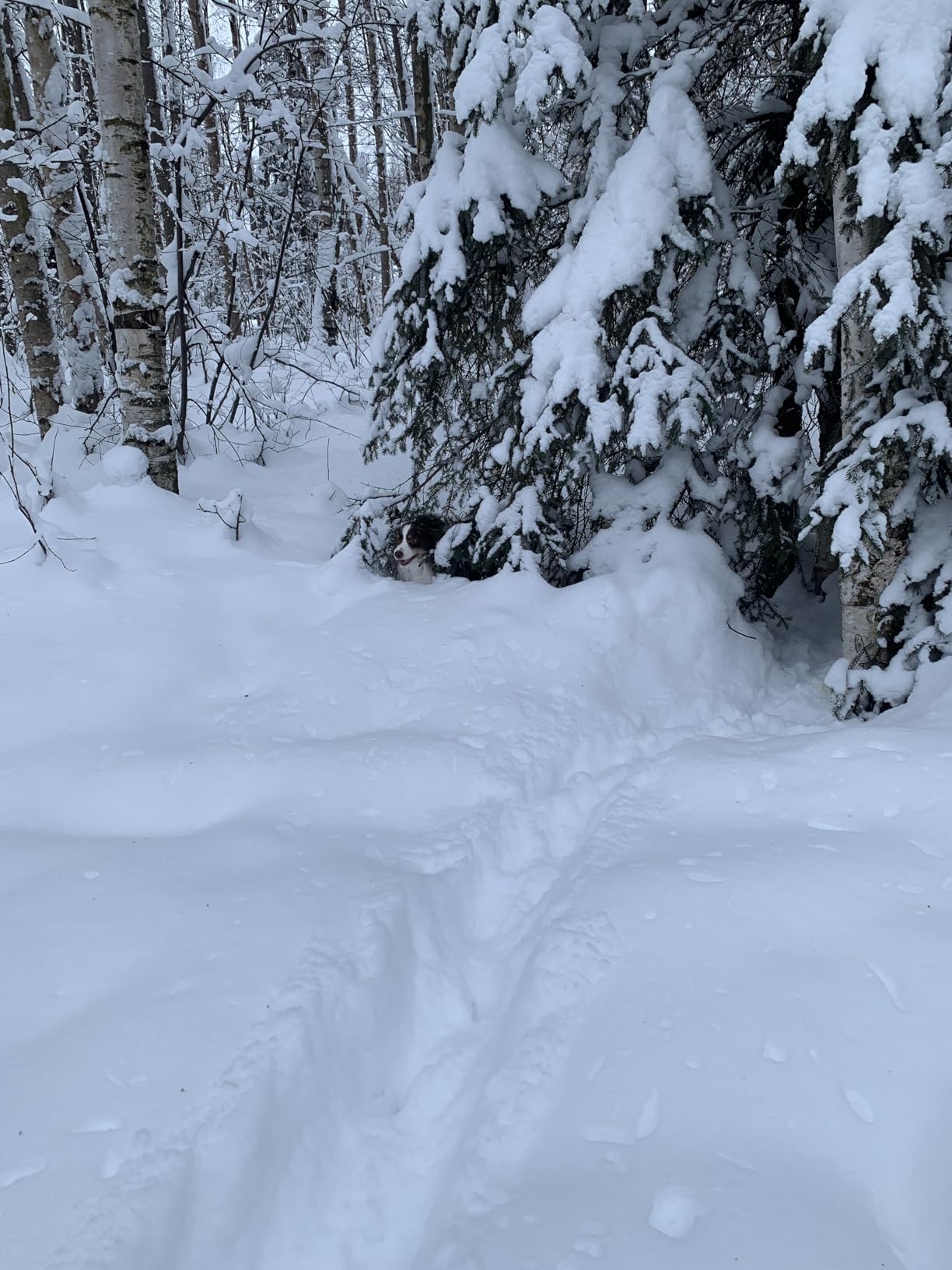 Baffin Men's Control Max Snow Boot customer photo 2