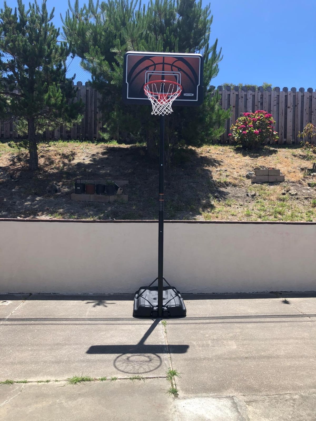 Lifetime Height Adjustable Portable Basketball System, 44 Inch Backboard customer photo 2