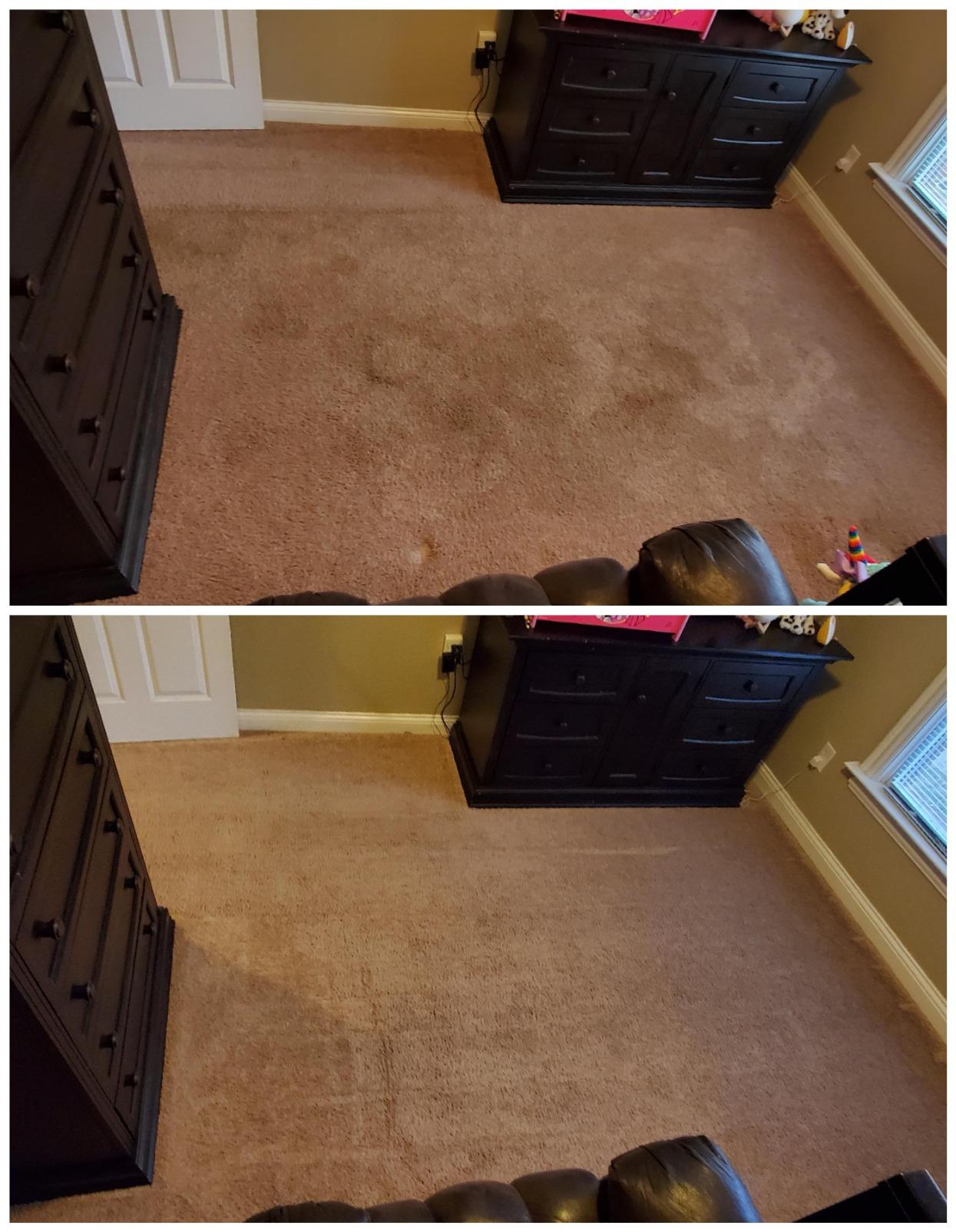BISSELL Big Green Professional Carpet Cleaner, XL DirtLifter PowerBrush customer photo 1