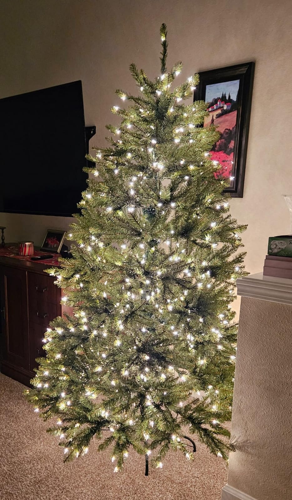 National Tree Company 6.5ft Pre-Lit Dunhill Fir Artificial Christmas Tree | 650 Clear Lights, 1,838 Tips, Includes Stand, Green customer photo 1