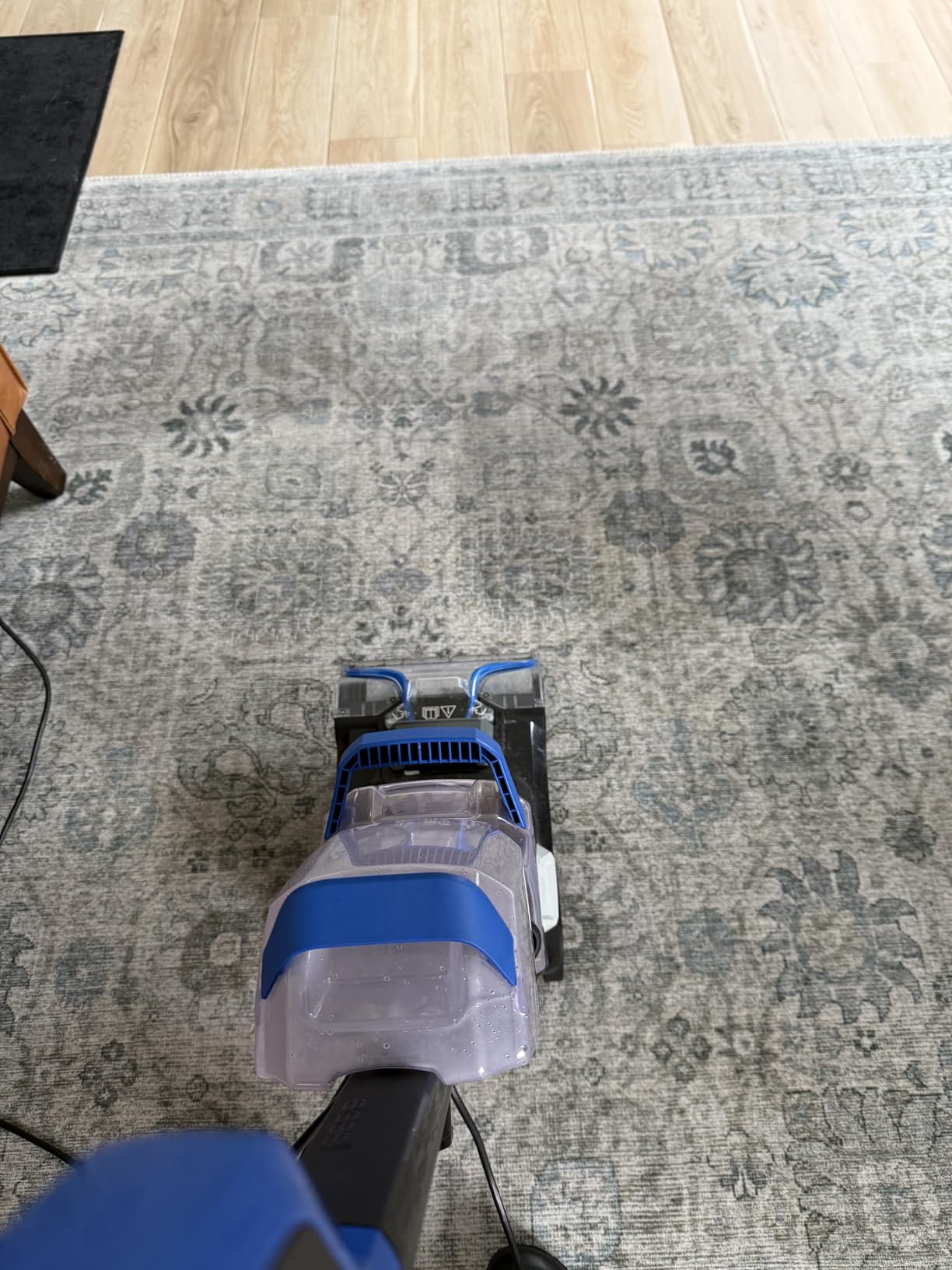 Bissell 78H63 Deep Clean Pro 4X Deep Cleaning Concentrated Carpet Shampoo, 48 ounces customer photo 1