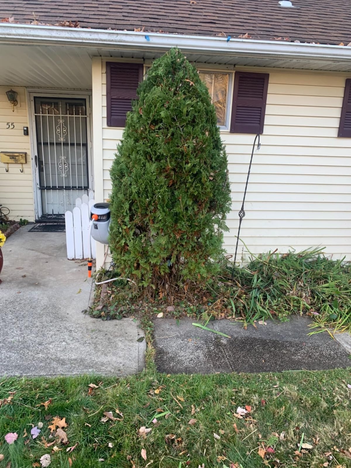 BLACK+DECKER 20V MAX Pole Hedge Trimmer Cordless with Battery and Charger, 18-Inch Dual Action Blade Power Hedge Trimmer, Extended Long Reach Hedger Up to 11 Ft, 180 Degrees Pivoting Head (LPHT120) customer photo 1