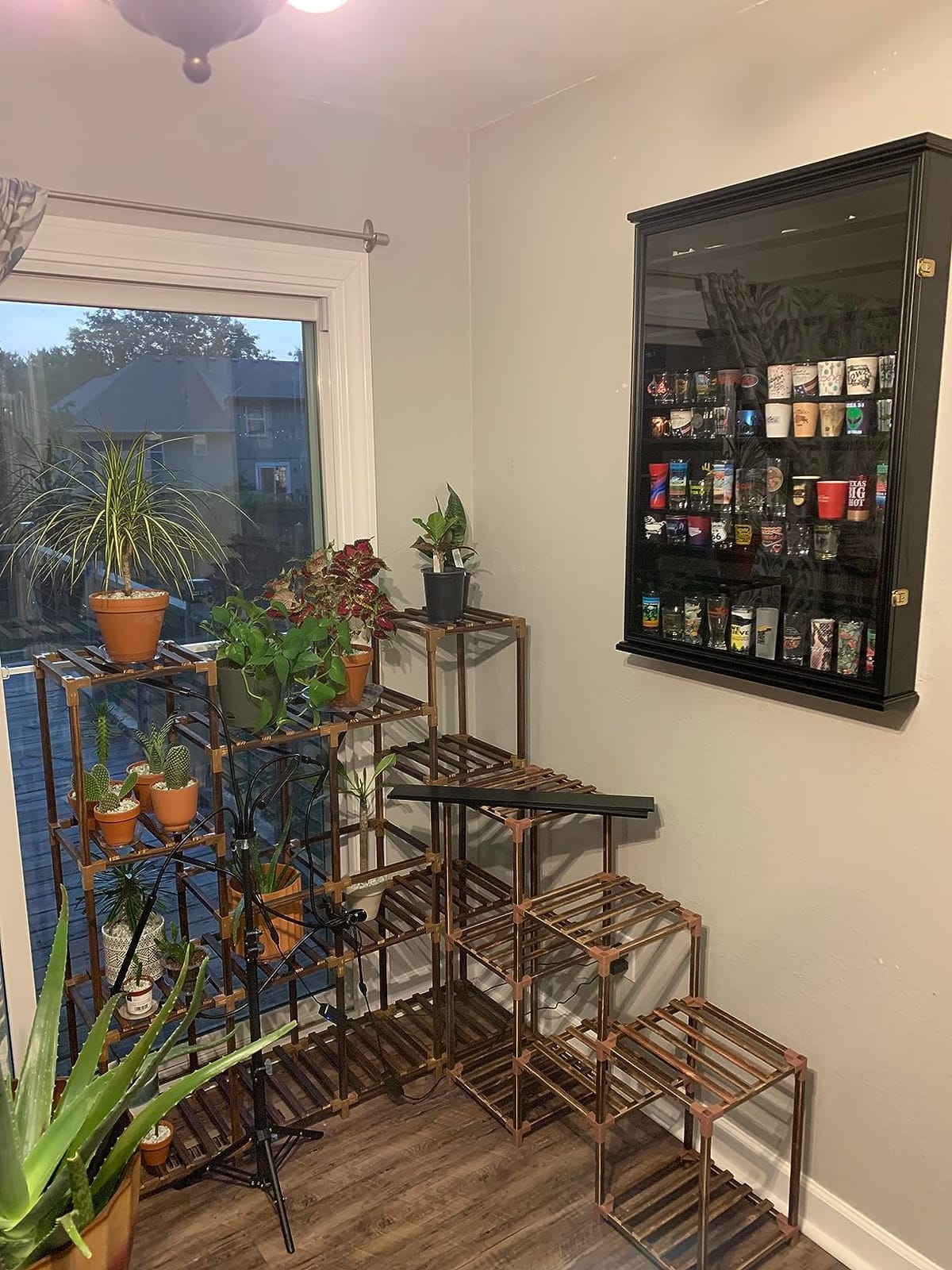 Large 144 Shot Glass Display Case Rack Solid Wood Cabinet Holder Wall Curio Cabinet Shadow Box for Action Figures Small Figurines - Lockable with UV Protection Door - Black Finish customer photo 1