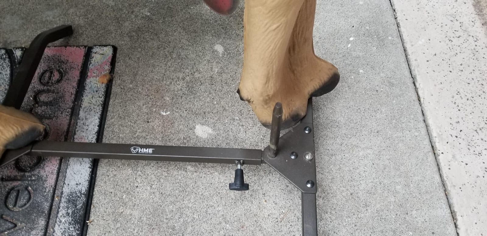 HME Hunting Made Easy HME-3DTS 3D Target Stand customer photo 1