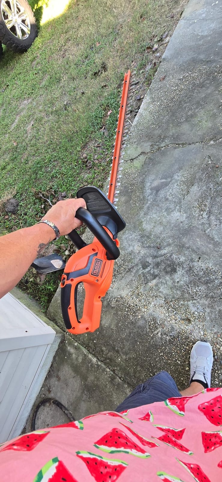 BLACK+DECKER 20V MAX Cordless Hedge Trimmer, Battery and Charger Included, 22 Inch Steel Blade Lightweight Bush Trimmer, Soft Grip, Less Vibration (LHT2220) customer photo 1